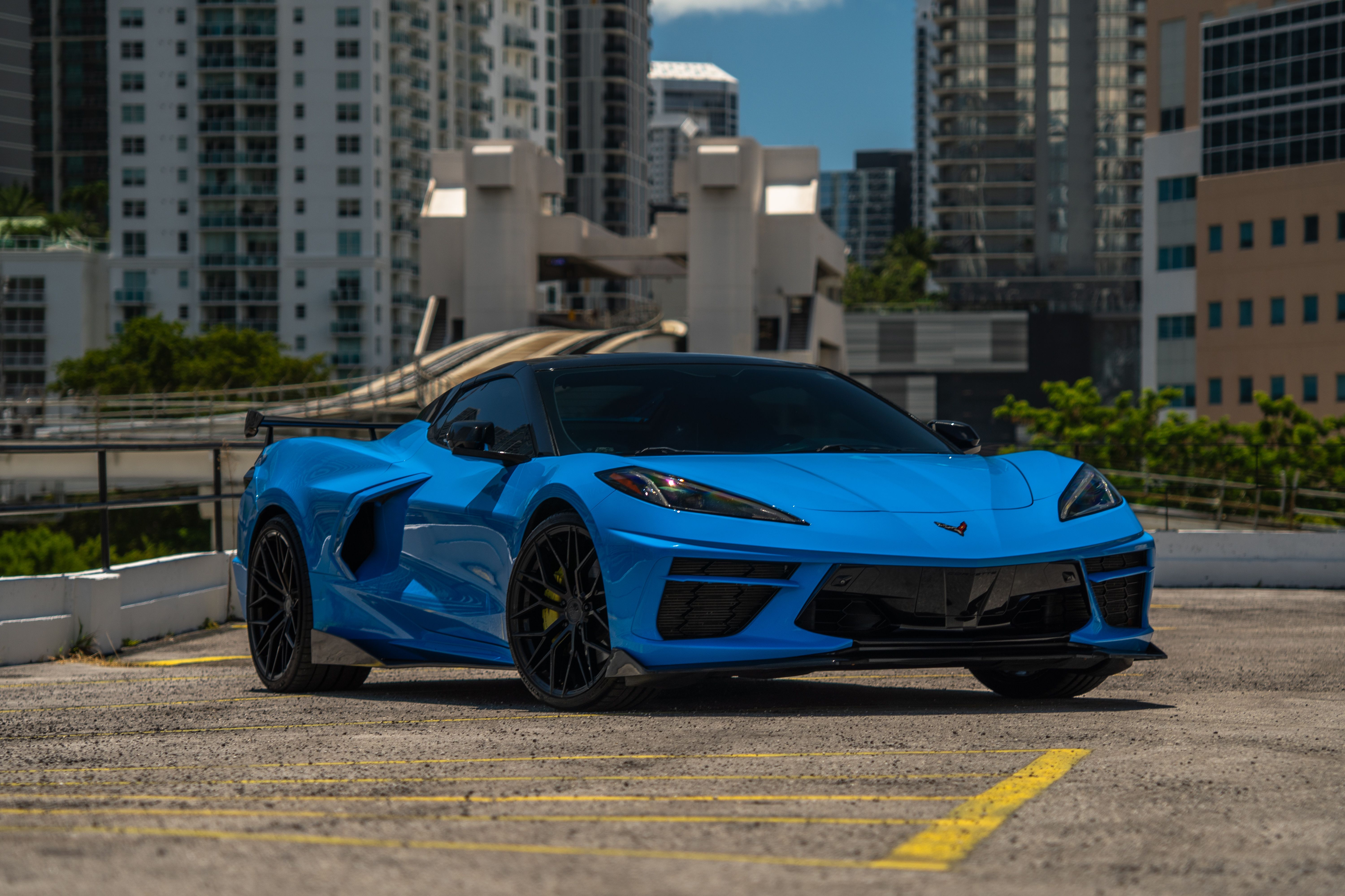 Miami Stallion | Luxury & Exotic Car Rentals in Miami