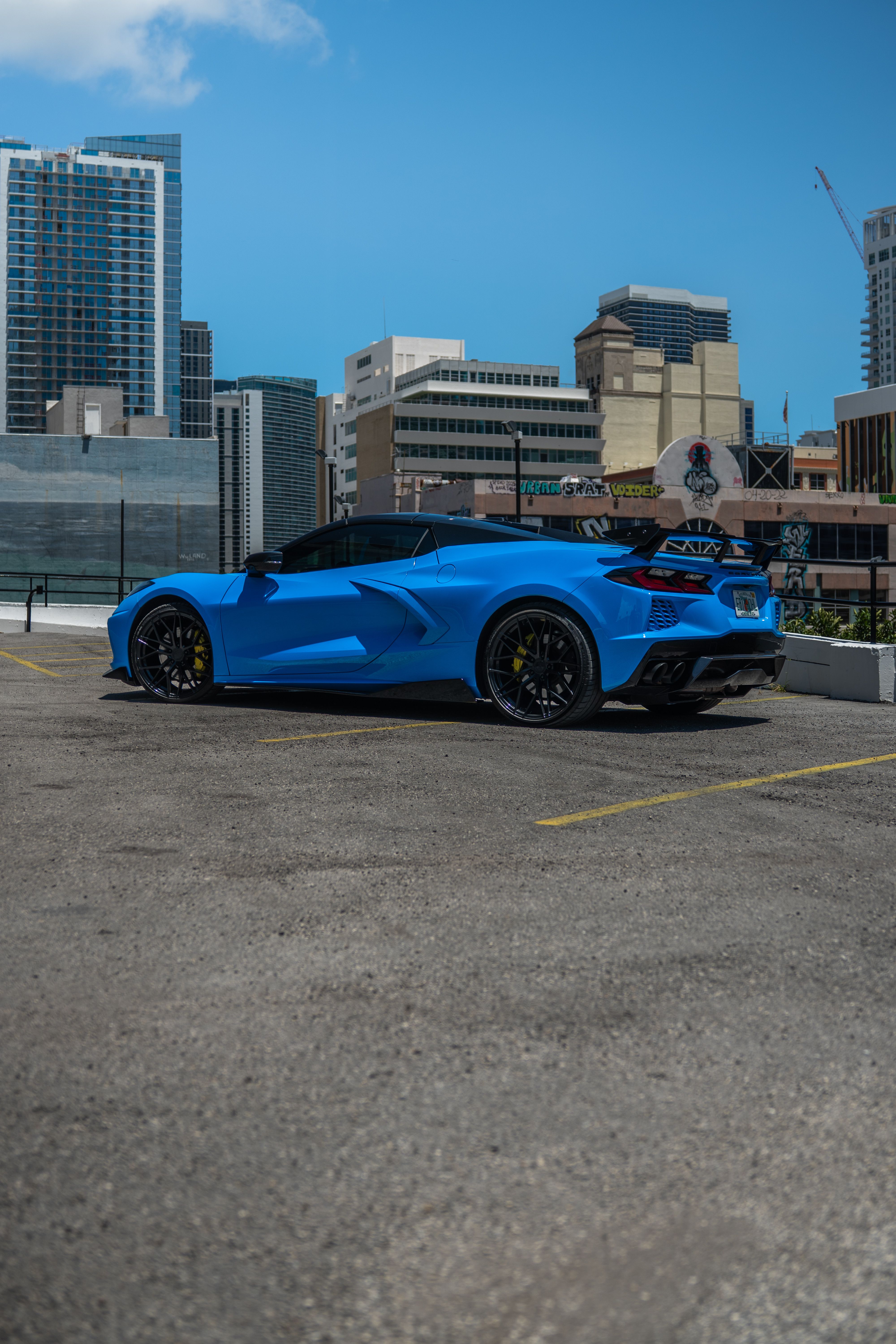 Miami Stallion | Luxury & Exotic Car Rentals in Miami