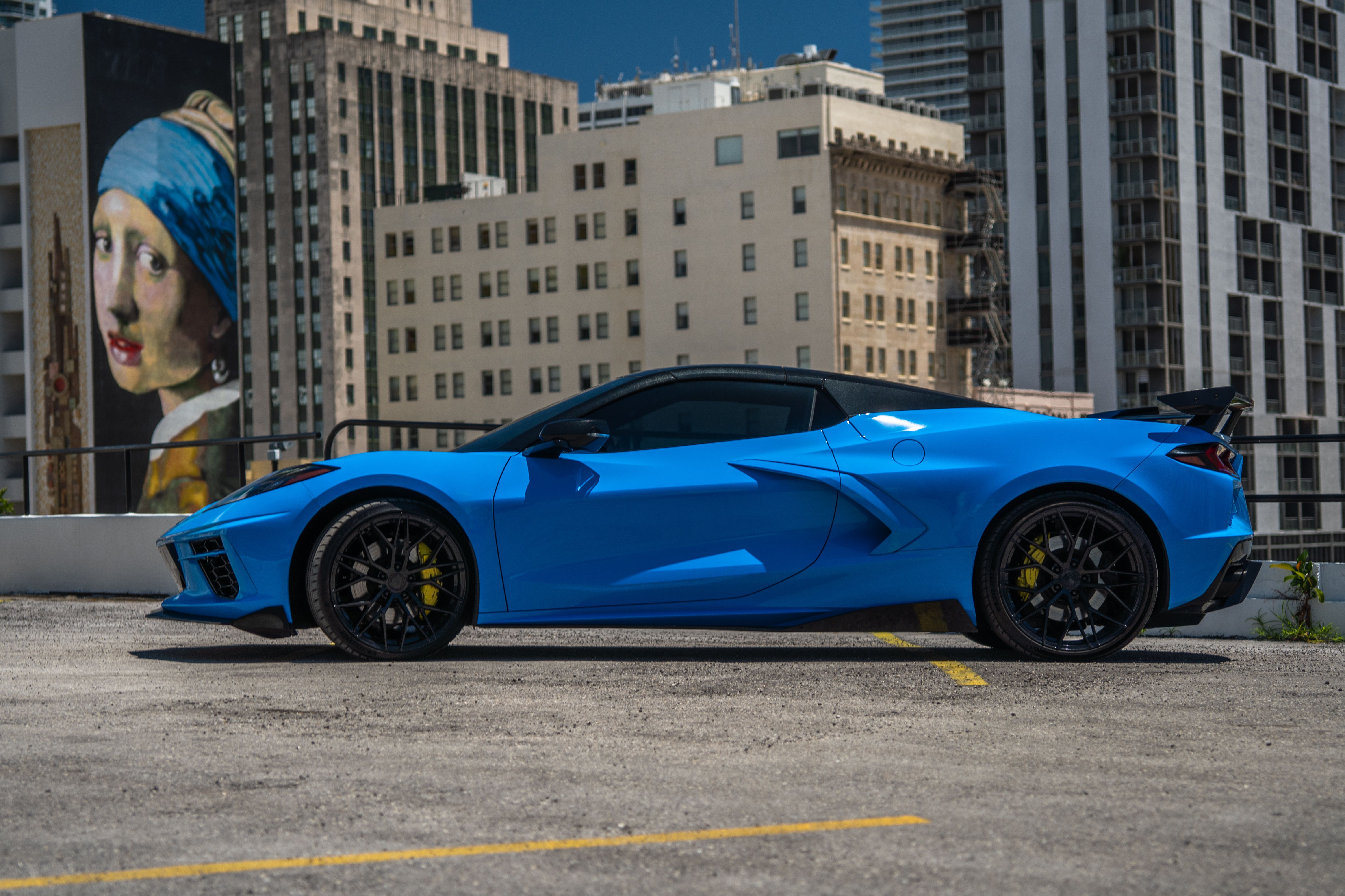Miami Stallion | Luxury & Exotic Car Rentals in Miami