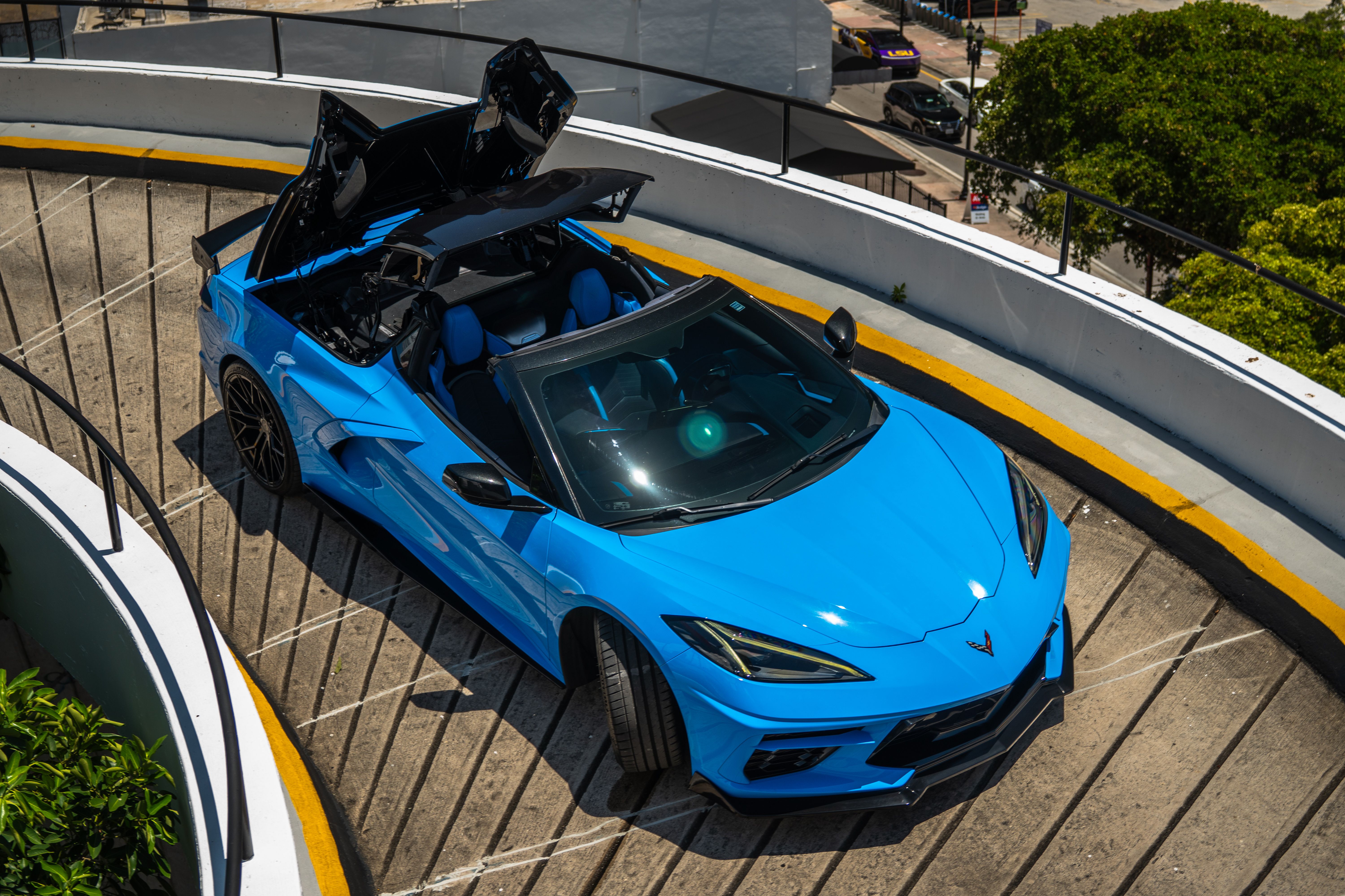 Miami Stallion | Luxury & Exotic Car Rentals in Miami